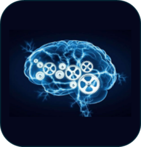 Emerging Brain Health Trends: Boost vitality for a longer, independent life!